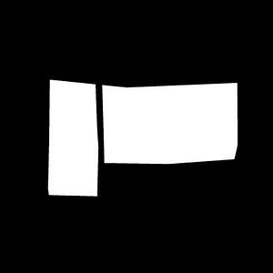Participant
