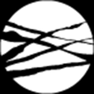 Borderlines Film Festival