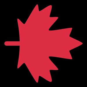 nuovi.media 🍁